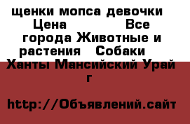 щенки мопса девочки › Цена ­ 25 000 - Все города Животные и растения » Собаки   . Ханты-Мансийский,Урай г.